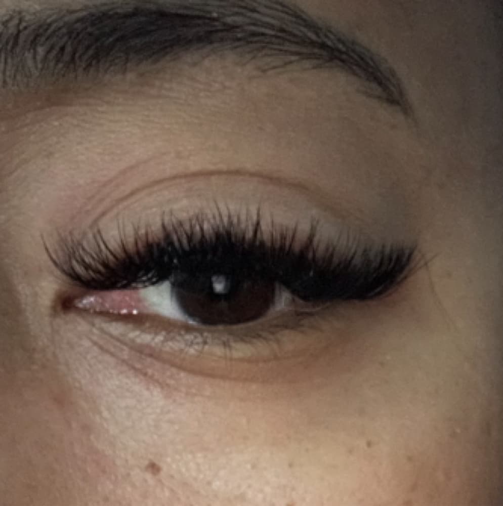 The Vixen mega volume lash set